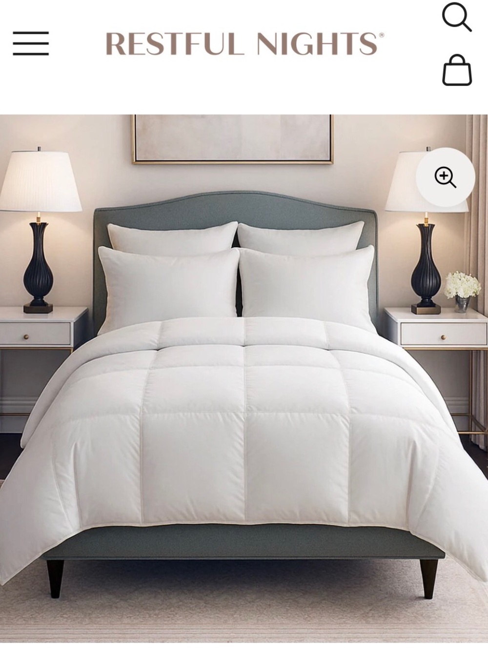 White Down Alternative Comforter